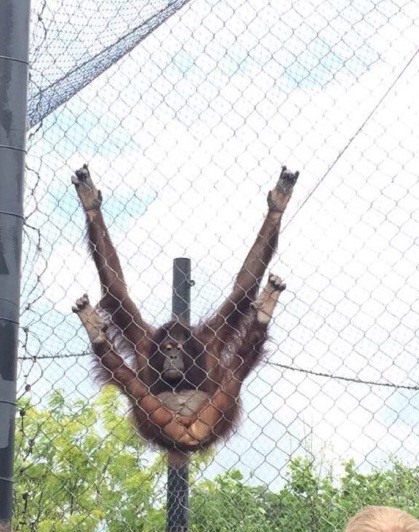 tumblr_nox1yg1MEv1qdj3ego1_500